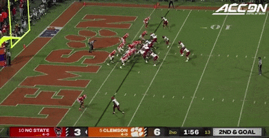 Touchdown GIF