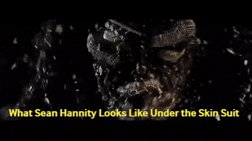 Sean Hannity Bug GIF