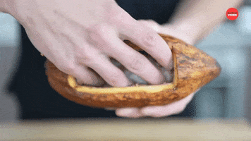 Chocolate Cacao GIF by BuzzFeed