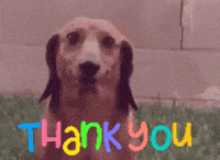 You-funny GIFs - Get the best GIF on GIPHY You-funny GIFs - Get the best GIF on GIPHY
