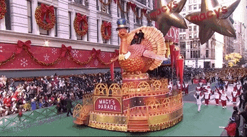 Macys Parade Tom Turkey GIF by The 96th Macy’s Thanksgiving Day Parade