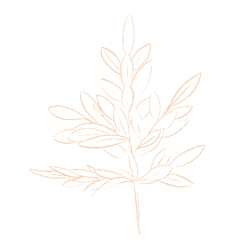 Plant Line Sticker