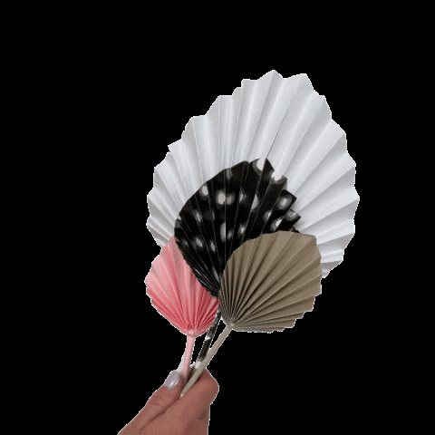 Studiocooliejoelie GIF