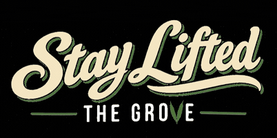 420 GIF by The Grove