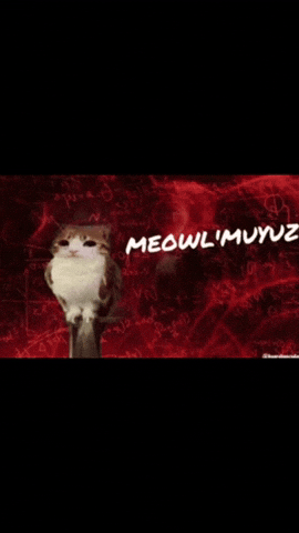 Meowl GIF