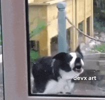 Dog Licking GIF by DevX Art