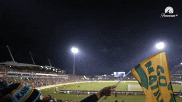 Celebration Goal GIF by Football Australia