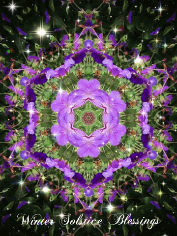 Winter Solstice Purple Flowers GIF