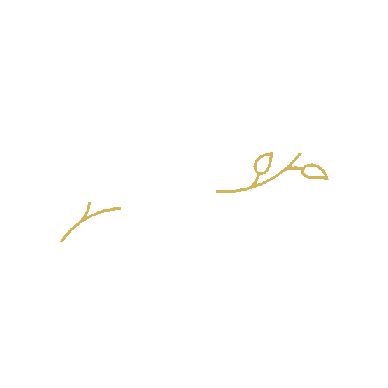 revuclinic Sticker