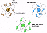 cell-explain-chemical-ucbW0CcwjLJ3v3S9wM