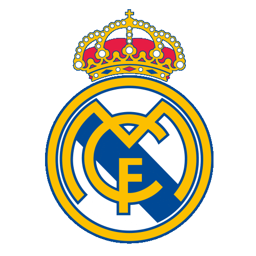 Real Madrid Sport Sticker by EuroLeague