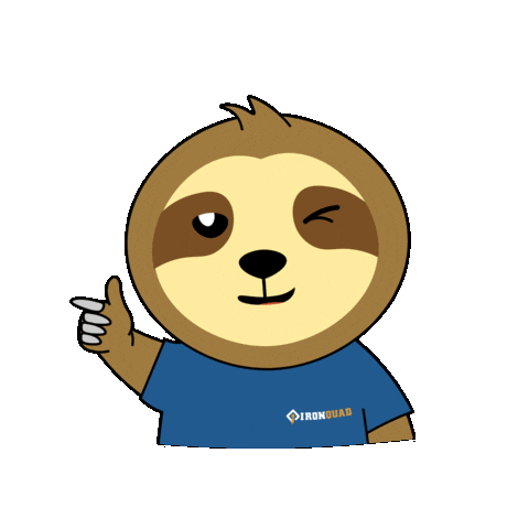 Wink Didi Sticker by IRONQUADFPV