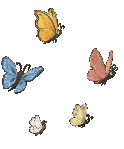 Butterfly Falter Sticker by Jupitermond Verlag