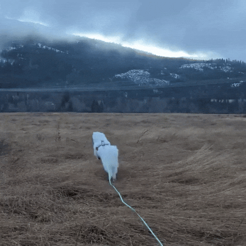 Helicopter Jumping GIF