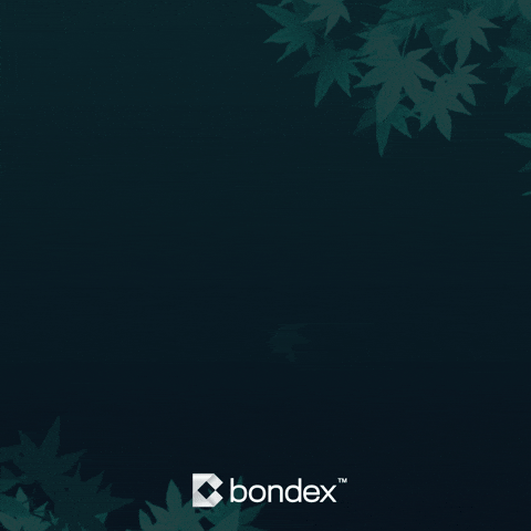 Christmas Crypto GIF by Bondex App
