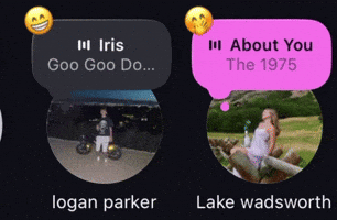 Lake Wadsworth GIF