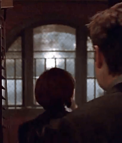 Mulder GIF
