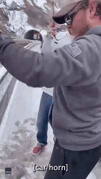 Man Catches Fish While Waiting in Traffic Jam