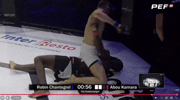 Mma Robin GIF by Old School Academy