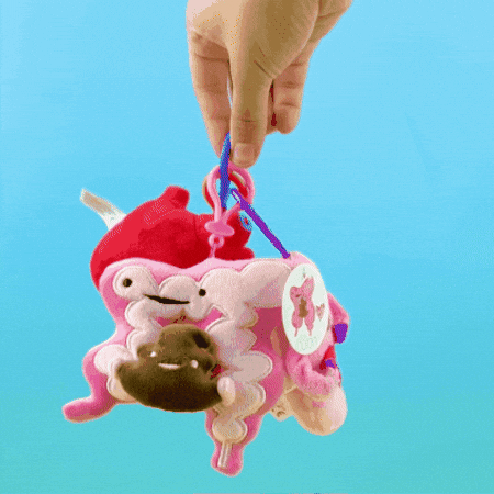 Anatomy Uterus GIF by I Heart Guts