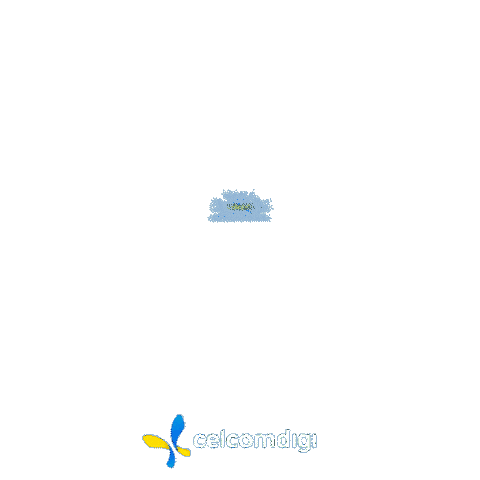 Celebration Colour Sticker by Celcom