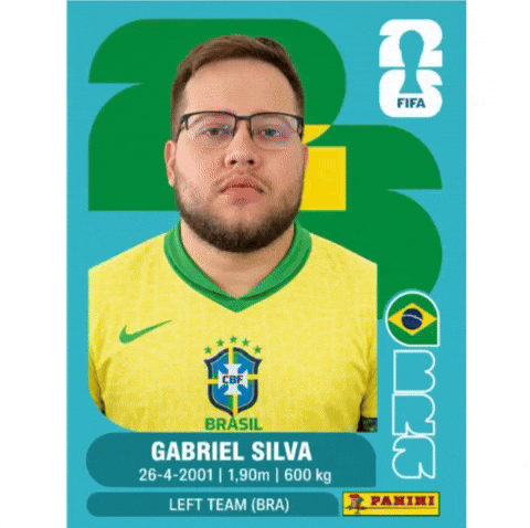 Copa Do Mundo Brazil GIF