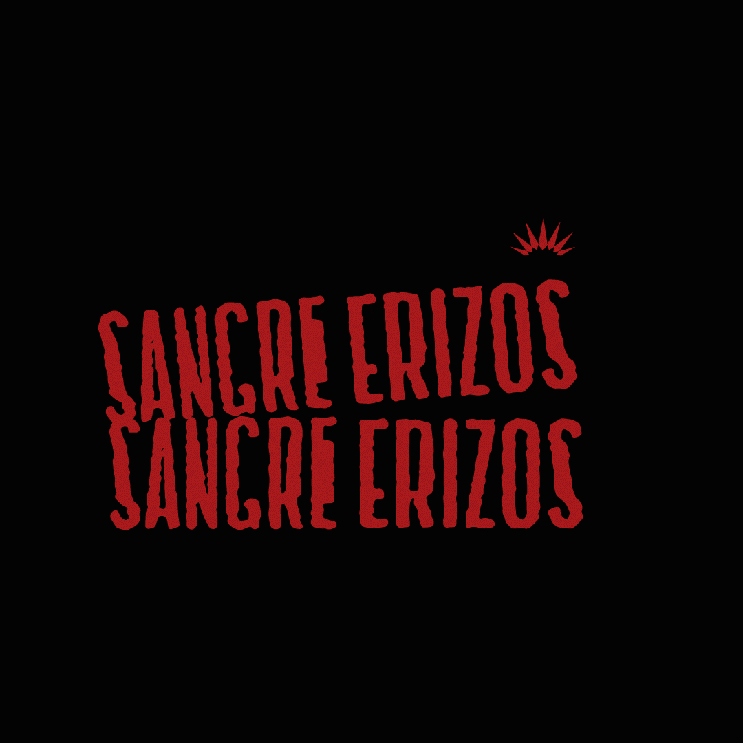 Erizos Store GIF