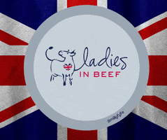 Beef GIF by Milly Fyfe