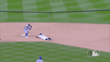 Happy Ny Mets GIF by New York Mets