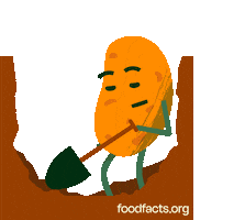 Foodfacts.org Sticker