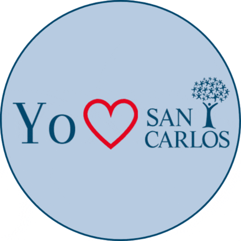 GIF by Colegio San Carlos