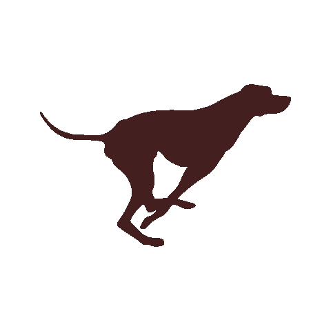 Dog Sticker