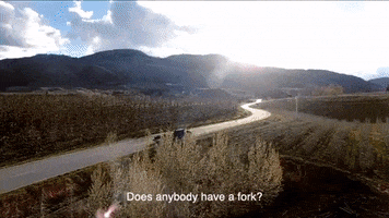 Road Trip Dog GIF by Discovery