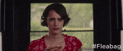 Season 2 Episode 6 GIF by Fleabag