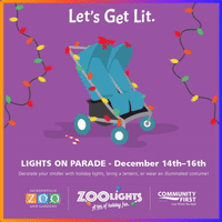 zoolights jacksonvillezoo GIF by Jacksonville Zoo and Gardens