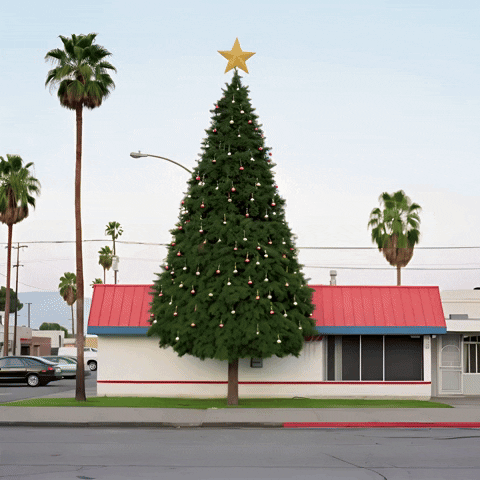 echo_echo_studio christmas holidays california ai GIF