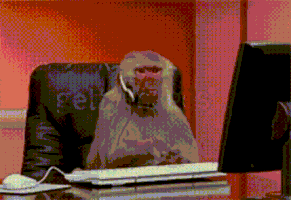 Angry Monkey GIF