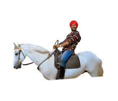 Sticker by DevgnFilms