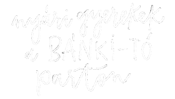 Bank Fesztival Sticker