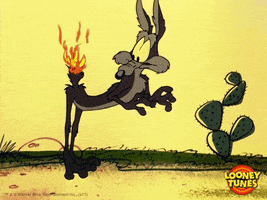 Uh Oh Omg GIF by Looney Tunes