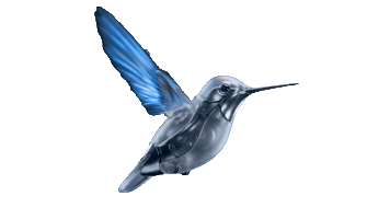 Videira Digital Sticker