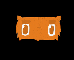 Orange Cat GIF by The Catnip Project