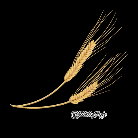 Milly-fyfe GIFs - Get the best GIF on GIPHY