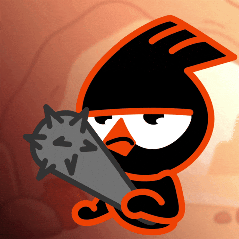 Birdeye GIF