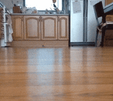 kitchen running GIF