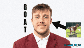 New Orleans Saints GIF