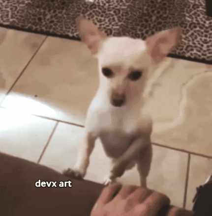 Dog Hand GIF by DevX Art