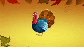 Fall Thanksgiving GIF by toyfantv