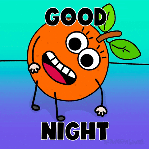 Night Sleep GIF
