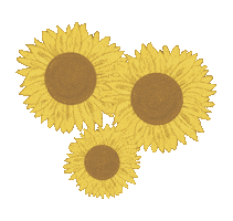 Yolo County Fair Sticker